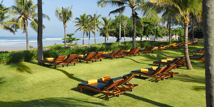 Liegewiese unter Palmen mit Meerblick - so lässt sich der Bali Urlaub im Hotel Bali Mandira geniessen