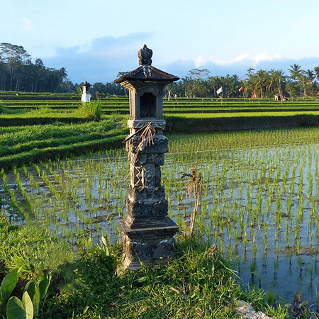 Pauschalreise Bali – spannende Orte der Insel erkunden