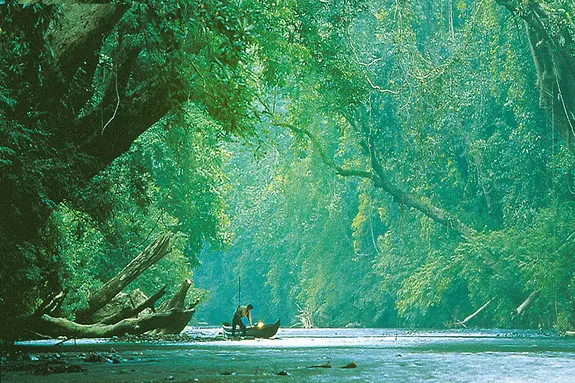 Taman Negara ist in der Malaysia-Rundreise enthalten