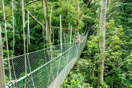 Malaysia Rundreise voller Naturerlebnisse im Dschungel