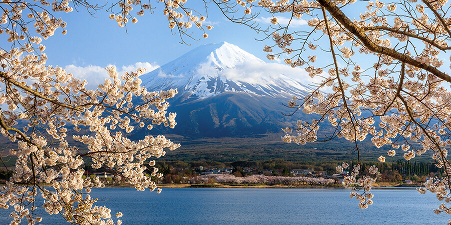 Mount Fuji und Kratersee Ashi umrahmt von blühenden Kirschbäumen