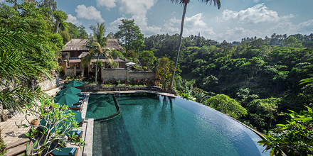 Entspannter Blick vom Pool über das Flusstal im Hotel Pita Maha Ubud
