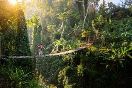 Überquerung der Hängebrücke im Nationalpark in Malaysia