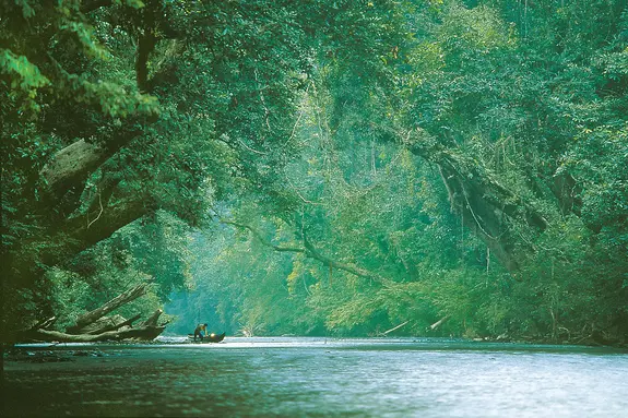 Etappe auf der Malaysia Rundreise: Taman Negara Nationalpark