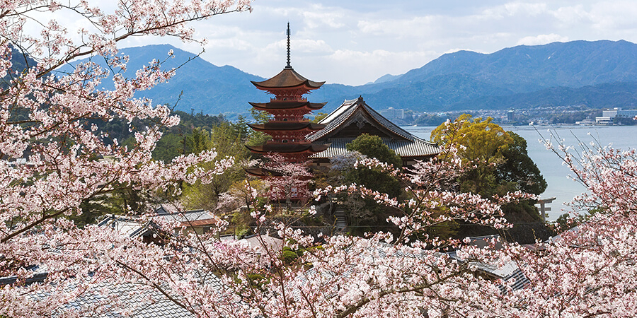 Reisen in Japan heisst Eintauchen in eine fremde Welt