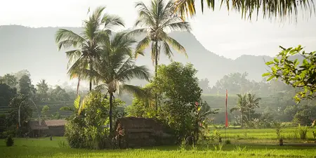Sidemen Bali: Reisetipps und Sehenswürdigkeiten