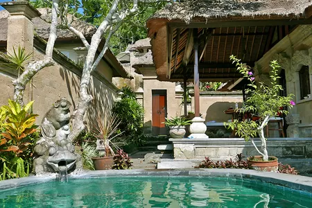 Private Terrasse mit eigenem Pool für viel Privatsphäre in Ubud