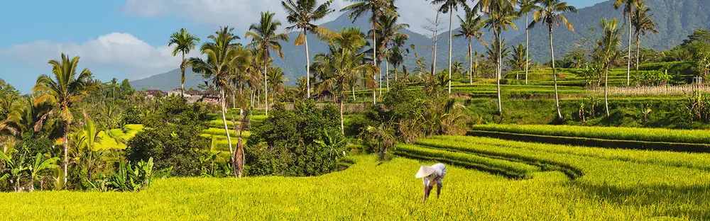 Schöne Landschaft in Bali, ideal für Rundreisen