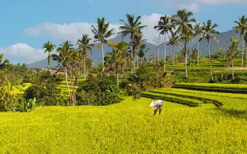 Schöne Landschaft in Bali, ideal für Rundreisen