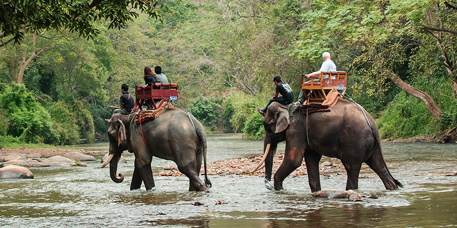 Eine spannende Abwechslung auf der Thailand Rundreise bietet ein Elefantenritt