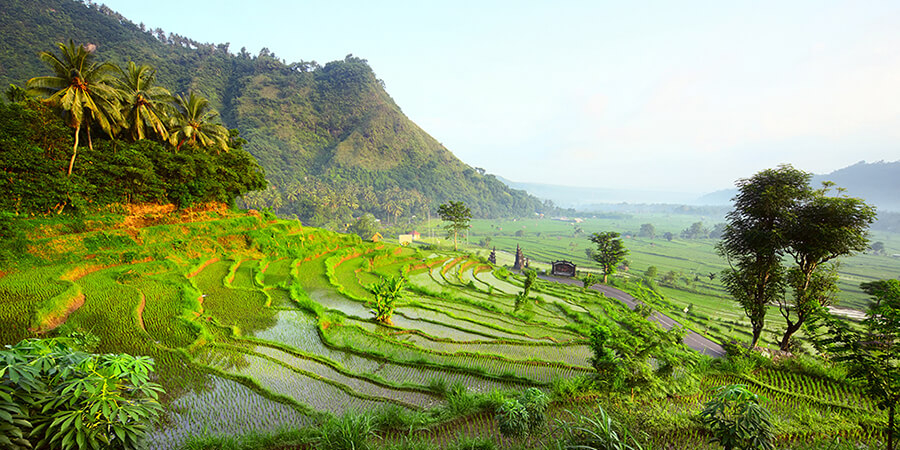 Bali Rundreise 10 Tage | schöne Landschaft mit Reisterrassen