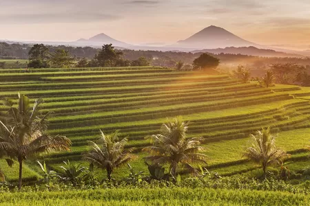 Bali Naturreise: Vulkanlandschaften und Reisterrassen