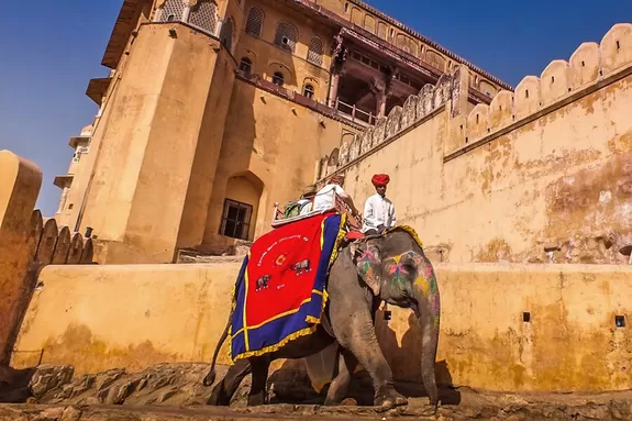 Elefant vor den Mauern des Fort Amber nähe Jaipur, Indien
