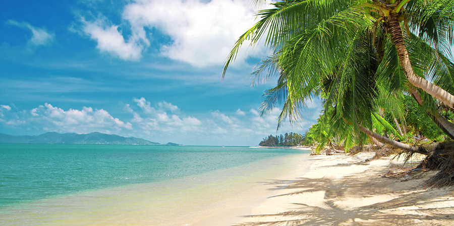 Weisser Sand, türkises Wasser, wogende Palmen – der Inbegriff von Ferien in Thailand