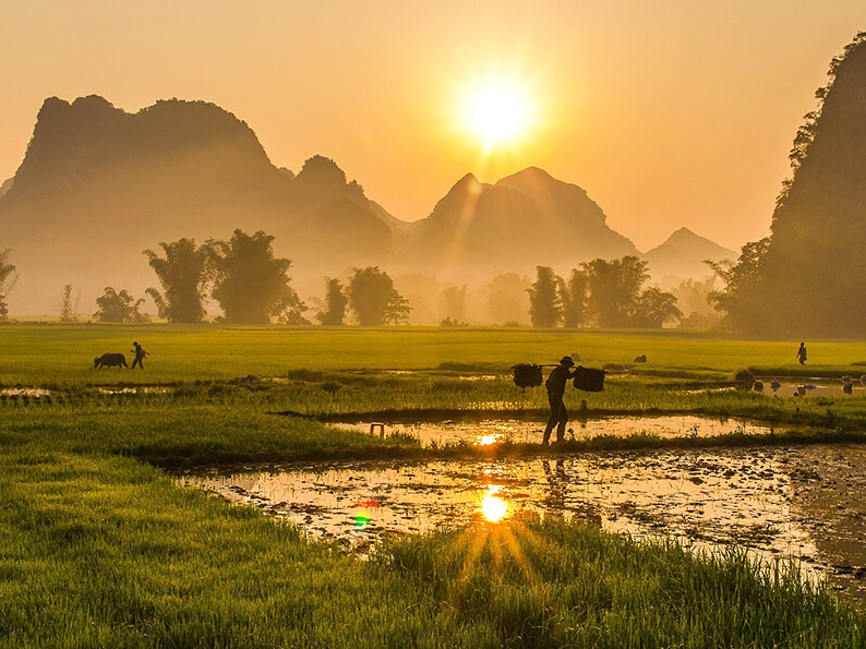 Zur Vorbereitung Ihrer Vietnam Reise: die nützlichen Reiseinformationen von Lotus Reisen