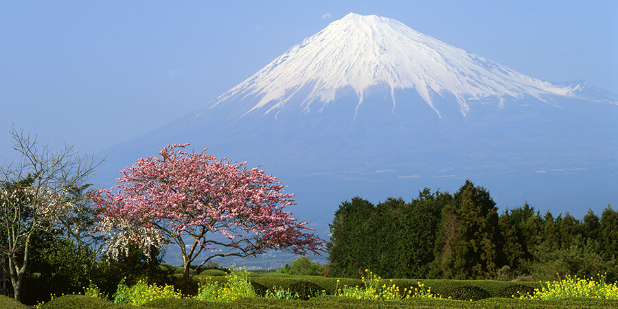 Gehört zu Japan Reisen dazu: Blick auf den Fuji von Hakone aus