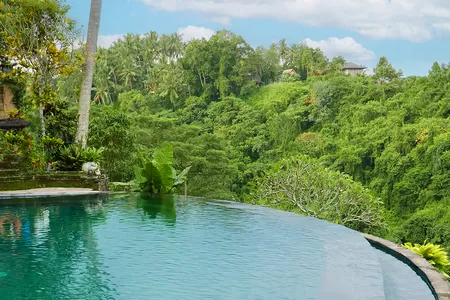 Infinitypool mit Blick ins grüne Flusstal in Ubud