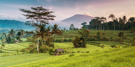 Aktiv Ferien Bali: Wandern und Trekking in Bali