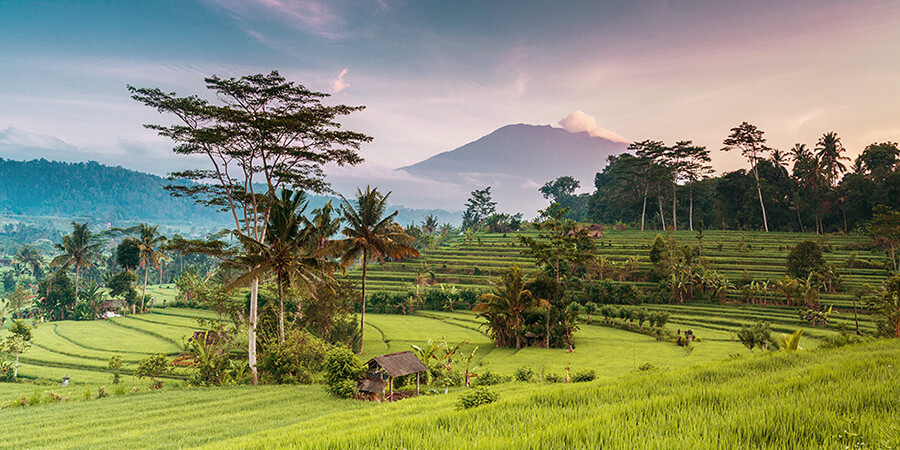 Landschaft mit Vulkanen und Reisterrassen auf Bali