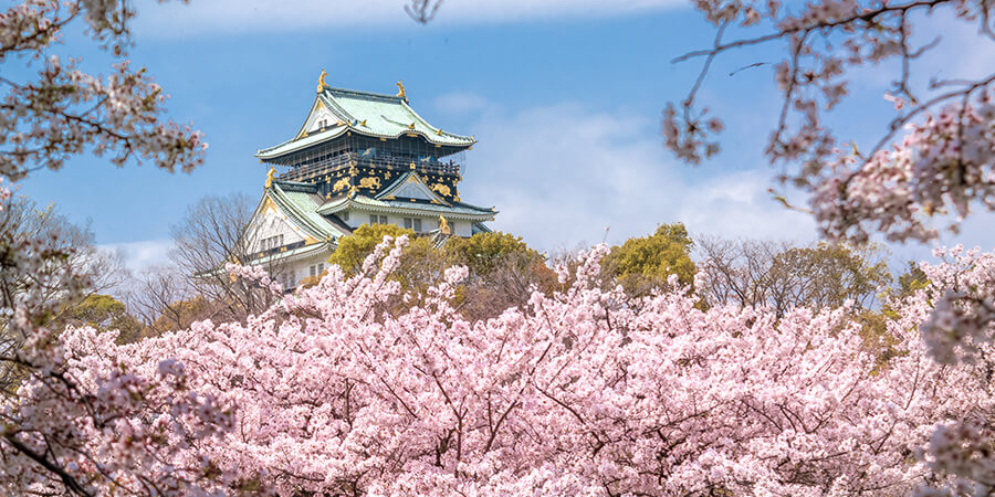 Beliebte Reisezeit für Japan Reisen: die Saison der Kirschblüten