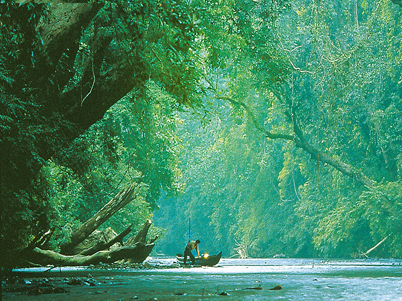  Höhepunkt jeder Malaysia Reise: Nationalpark Taman Negara mit uraltem Regenwald