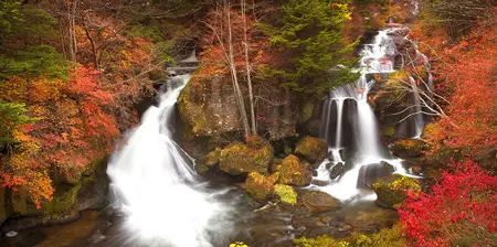 Japan im Oktober bereisen und die Herbstfarben erleben