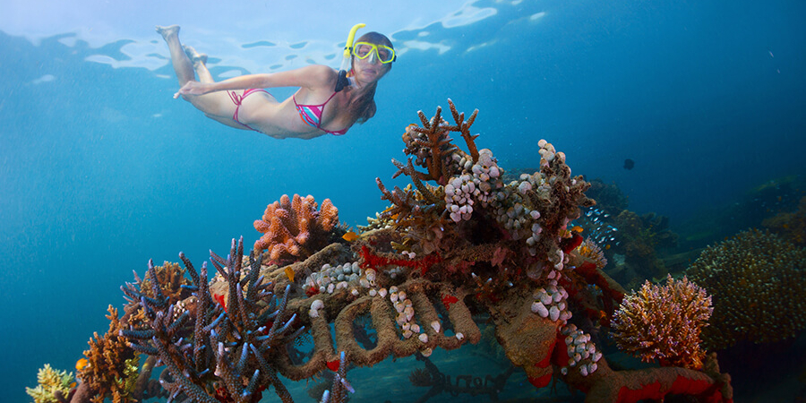 Bali Rundreise für Schnorchelfreunde: Unterwasserwelt der Insel Menjangan