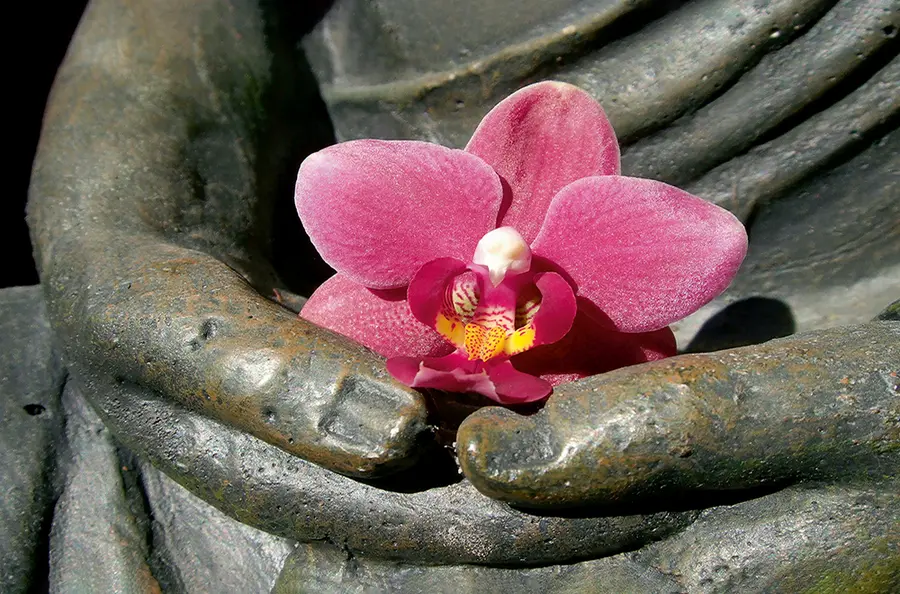 In guten Händen - Lotus Reisen