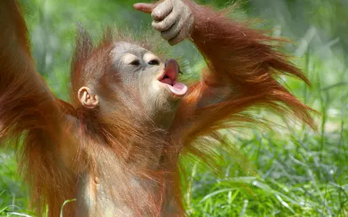 Malaysia Reisen & Rundreisen