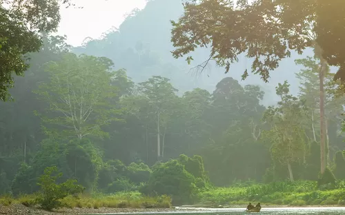 Malaysia Reisen & Rundreisen