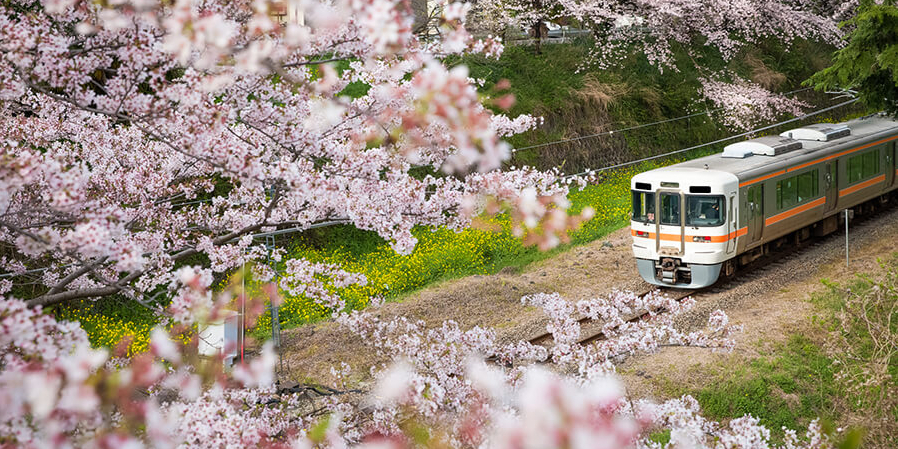 Zugfahren in Japan ist ein besonderes Erlebnis