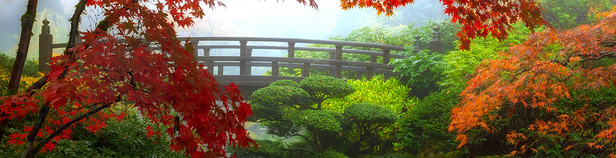 Ausflug nach Kamakura zu den traditionellen Zen-Gärten