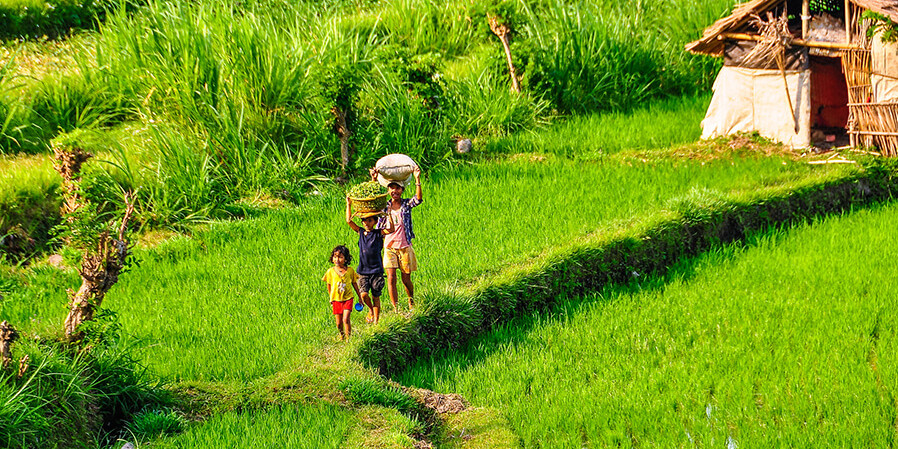 Bauernfamilie auf den Reisterrassen bei Sidemen, Bali