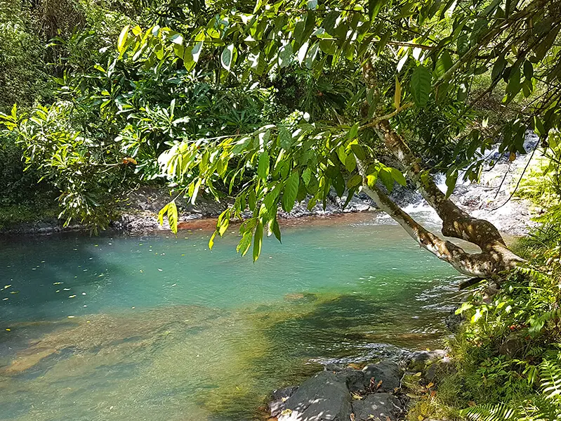 Überall auf Bali Reisen begegnet man üppiger Natur