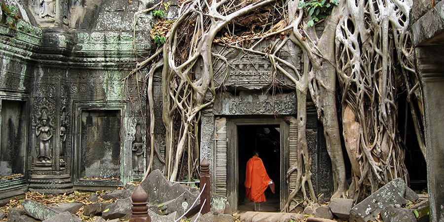 Von der Natur umklammert: die Ruinen von Angkor Wat
