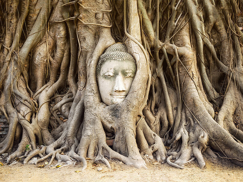 Wohl eine der meist fotografierten Sehenswürdigkeiten in Kambodscha