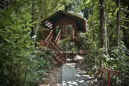 Treehouse Lodge: besondere Unterkunft auf der Südthailand Rundreise