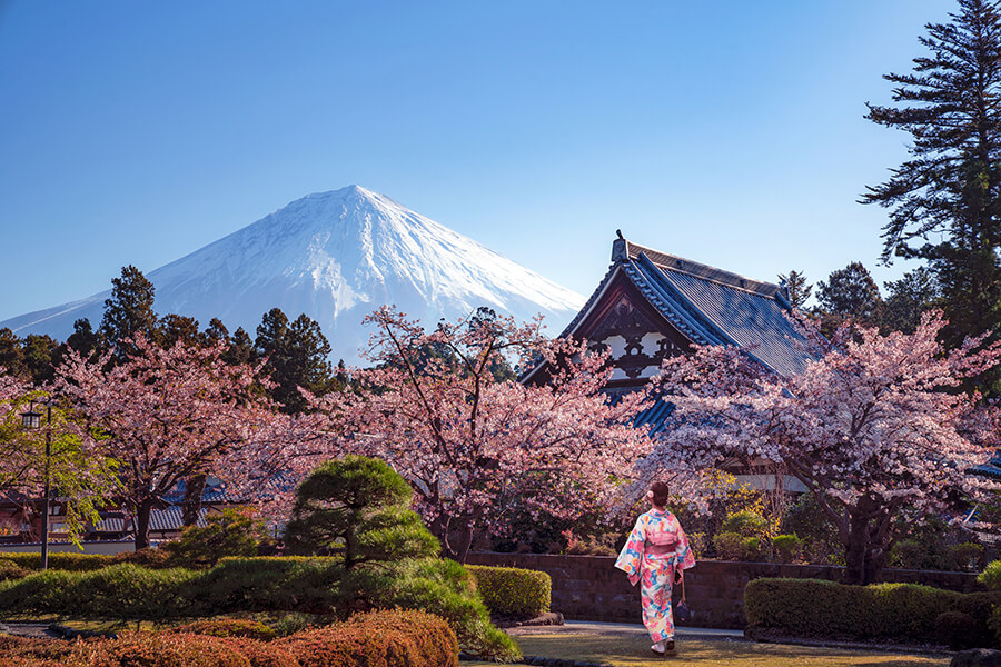 Gehört zu Reisen in Japan: Kirschblüten, schneebedeckter Fuji und Geishas